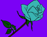 Dibujo Rosa pintado por rachell