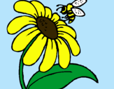 Dibujo Margarita con abeja pintado por Yelka