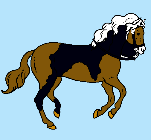 Caballo 5