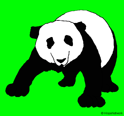 Dibujo Oso panda pintado por dany_miley