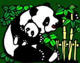 Dibujo Mama panda pintado por saraunica