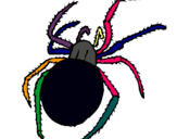 Dibujo Araña venenosa pintado por Clemen