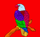 Dibujo Águila en una rama pintado por rosquin