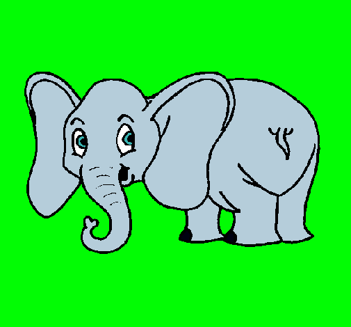 Elefante pequeño