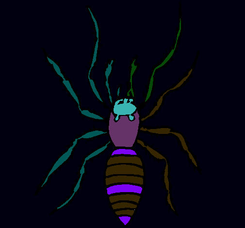 Araña tigre