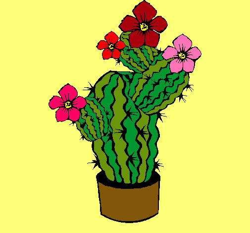 Flores de cactus