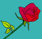 Dibujo Rosa pintado por xxxxxxxxxxxx