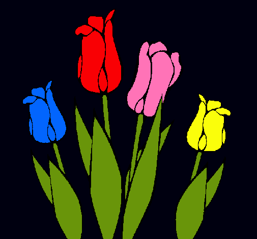 Tulipanes