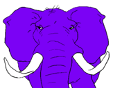 Dibujo Elefante africano pintado por elefantito