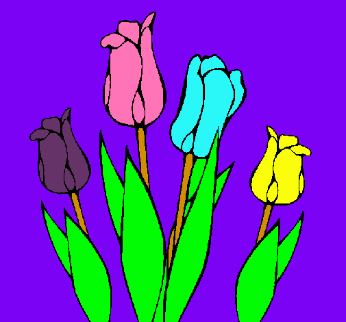 Tulipanes