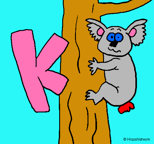 Koala