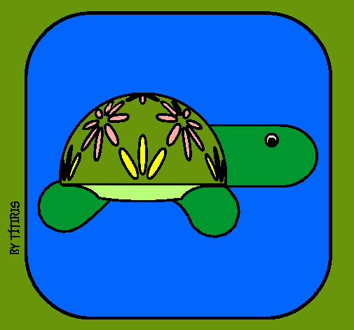 Tortuga 4