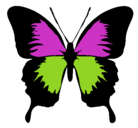 Dibujo Mariposa con alas negras pintado por mariiposa