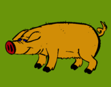 Dibujo Cerdo con pezuñas negras pintado por paqitooooo
