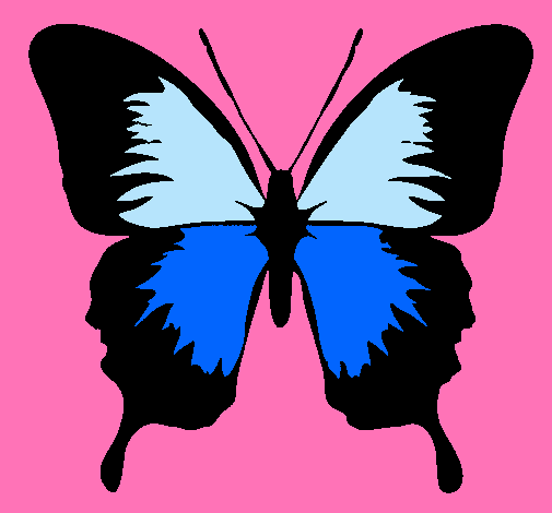 Mariposa con alas negras