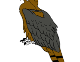 Dibujo Águila pintado por alejandroooo