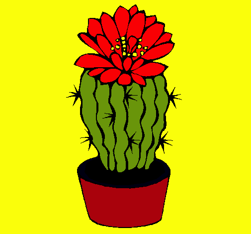 Cactus con flor