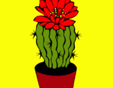 Dibujo Cactus con flor pintado por amalia