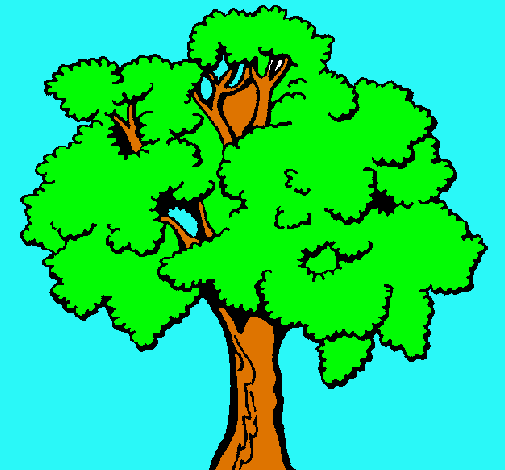 Árbol