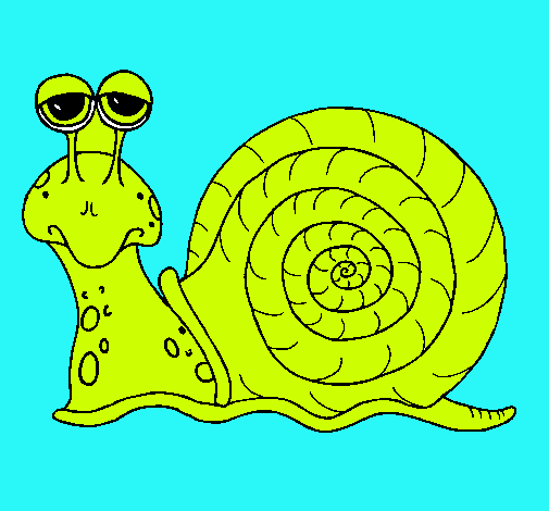 Caracol