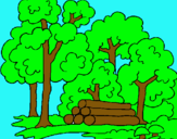 Dibujo Bosque pintado por jared200