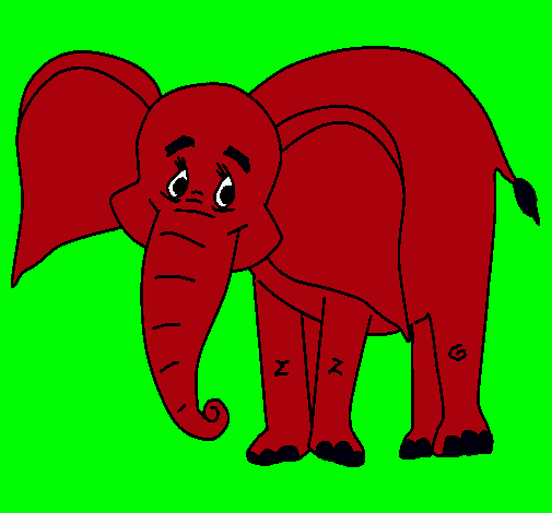 Elefante feliz