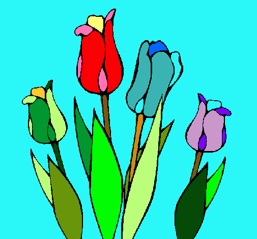 Tulipanes