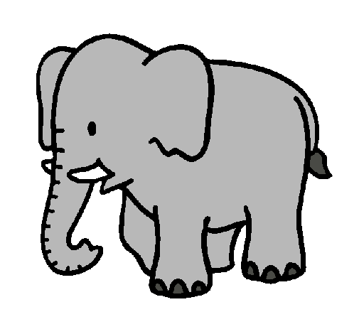 Elefante bebe