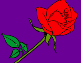 Dibujo Rosa pintado por keidigarnica