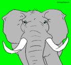 Dibujo Elefante africano pintado por caprifcho