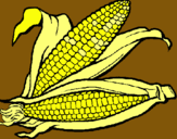 Dibujo Mazorca de maíz pintado por Natuchaa
