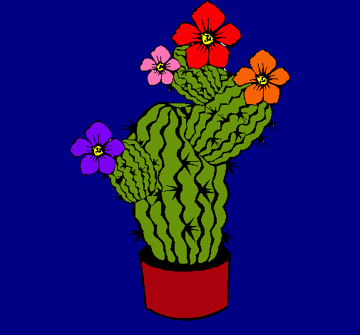 Flores de cactus