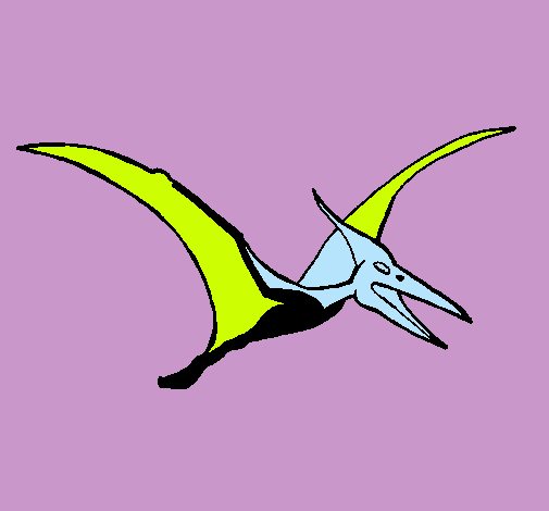 Pterodáctilo