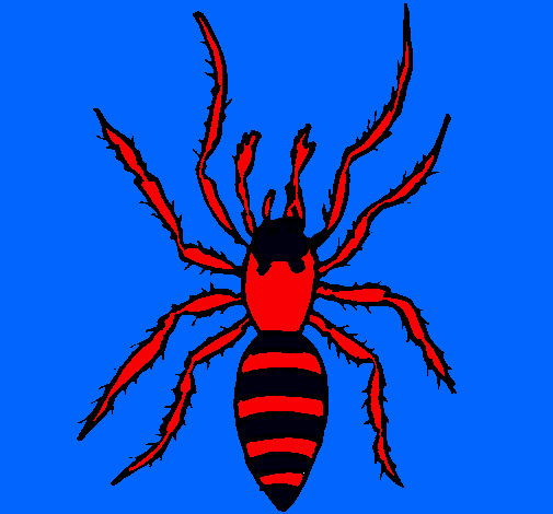 Araña tigre