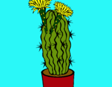 Dibujo Cactus con flores pintado por Italia