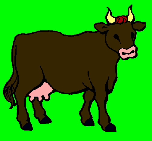 Vaca