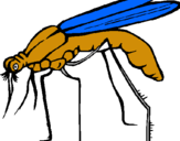 Dibujo Mosquito pintado por 765894758