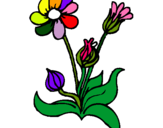 Dibujo Flores pintado por victoia