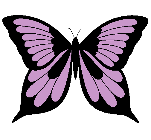 Mariposa