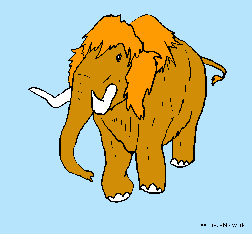 Mamut II