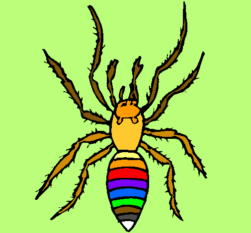 Araña tigre