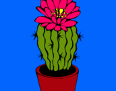 Dibujo Cactus con flor pintado por amalia