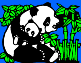 Dibujo Mama panda pintado por dfdjdjdsvnds