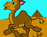 Dibujo Camello pintado por veloz