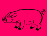 Dibujo Cerdo con pezuñas negras pintado por natillas