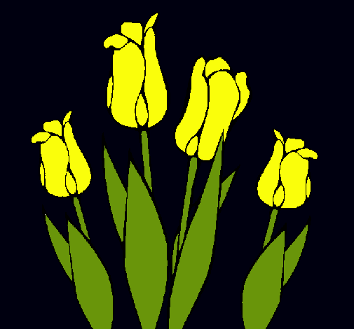 Tulipanes