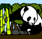 Dibujo Oso panda y bambú pintado por nayandi