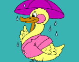 Dibujo Pato bajo la lluvia pintado por JIKJOL
