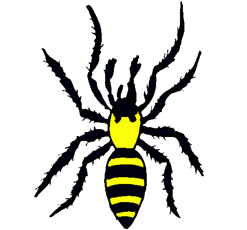 Araña tigre