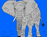 Dibujo Elefante pintado por malefante